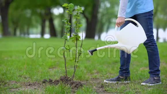 公园自然保护植树造林学校项目中的儿童浇水灌木视频的预览图