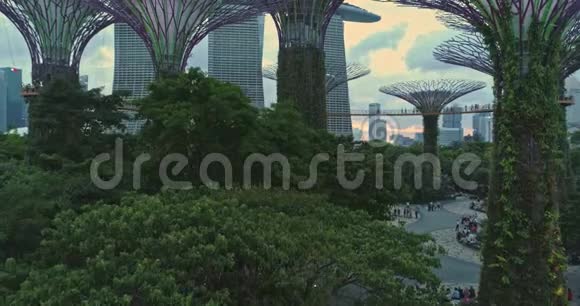 新加坡著名花园主要景观视频的预览图