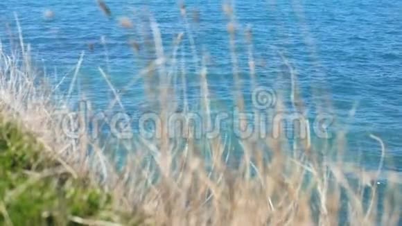 大海边的干草在波浪的背景上视频的预览图