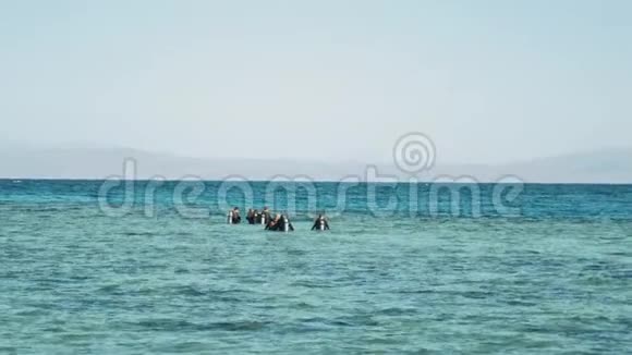 一群水肺潜水员在红海潜水晴天和清澈的水在埃及达哈布慢动作4k视频的预览图