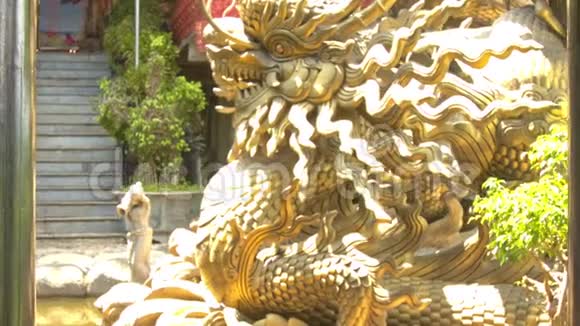 佛寺植物金圣龙雕像视频的预览图
