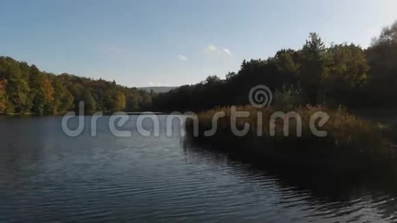 夏天阳光明媚的一天喀尔巴阡山上有芦苇的山河风景如画视频的预览图