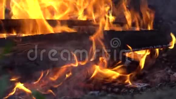 关闭篝火火焰的露营火超级慢动作燃烧木柴视频的预览图