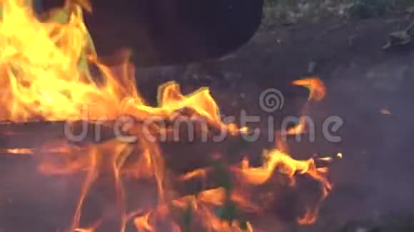 关闭篝火火焰的露营火超级慢动作烧柴火视频的预览图