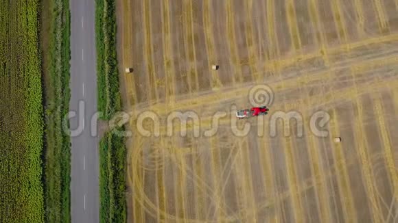 干草加工成圆捆的鸟瞰图红色拖拉机在田间作业在田野的一边是视频的预览图