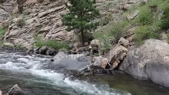 爱达荷泉附近的清澈小溪县科罗拉多河视频的预览图