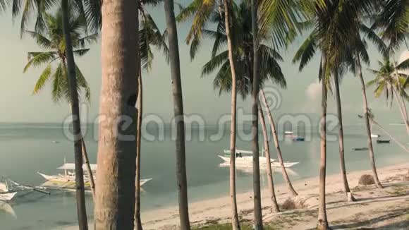 船和棕榈树的美丽海岸景色视频的预览图