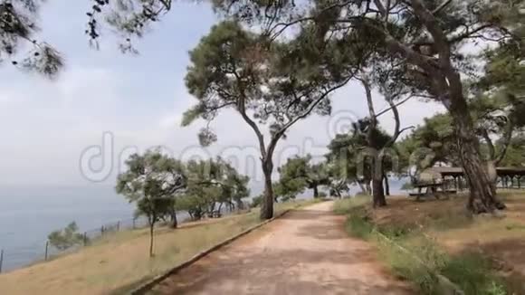 摄像机沿着公园的一条整洁的小路移动展示了美丽的风景树木凉亭和大海视频的预览图