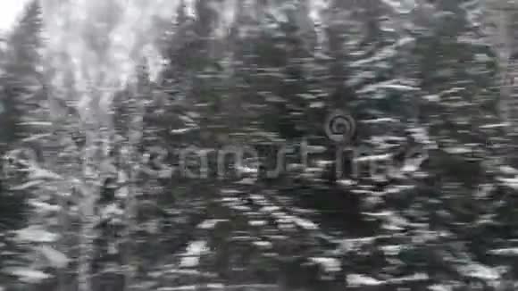 冬季森林雪道之旅欧洲风景优美的汽车窗景旅游全景和自然景观视频的预览图
