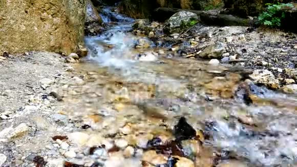 树木环绕的山涧景色纯净冰冷的清水流过石头视频的预览图
