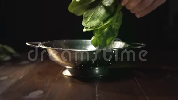 厨师摇着一堆生的绿色新鲜菠菜水滴从里面掉下来成熟的绿色蔬菜烹饪蔬菜视频的预览图