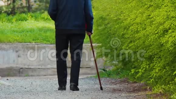 公园里小巷里一个拿着魔杖的老人的剪影一个拿着拐杖的退休老人的身影打赌视频的预览图