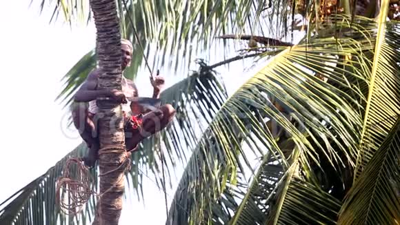 人坐在棕榈树树干上用特殊的棍子说话视频的预览图