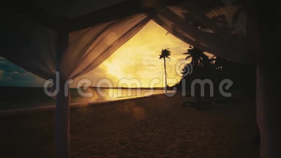热带天堂岛海滩景观棕榈树日出景色早晨视频的预览图