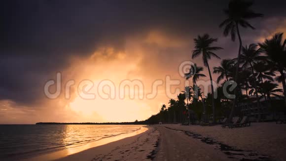 热带天堂岛海滩棕榈日落景色傍晚视频的预览图