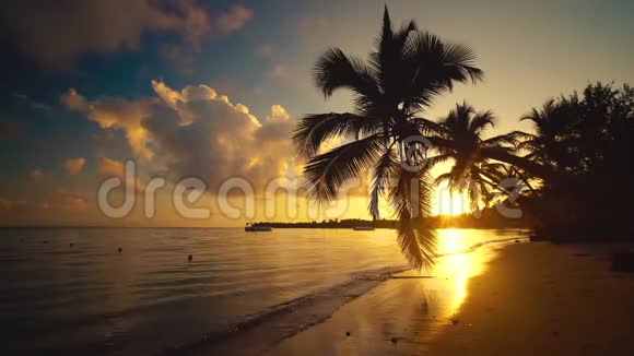 热带天堂岛日落景色与棕榈树剪影在海滩和游艇的背景浮标晚上视频的预览图