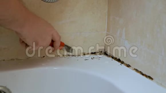 在潮湿通风不良湿度大重量轻的浴室瓷砖接缝处会有清洁霉菌和铁锈视频的预览图