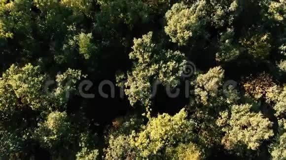 喀尔巴阡山脉夏季美丽的绿色森林的空中拍摄视频的预览图