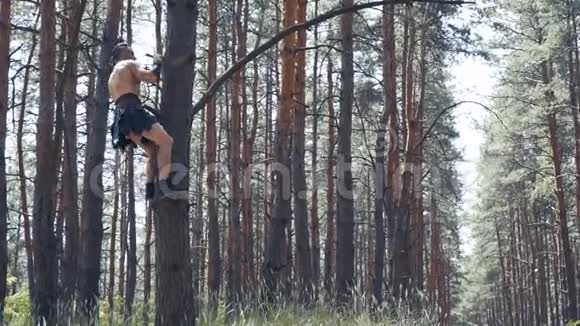 在树上长着肌肉的野蛮人爬下来逃跑视频的预览图