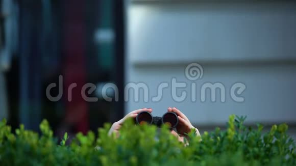 女手拿着望远镜在公园灌木丛后面私家侦探间谍视频的预览图