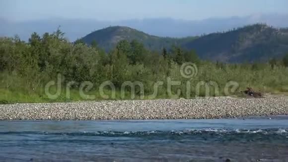 苏布河上八月一个阴天俄罗斯乌拉尔视频的预览图