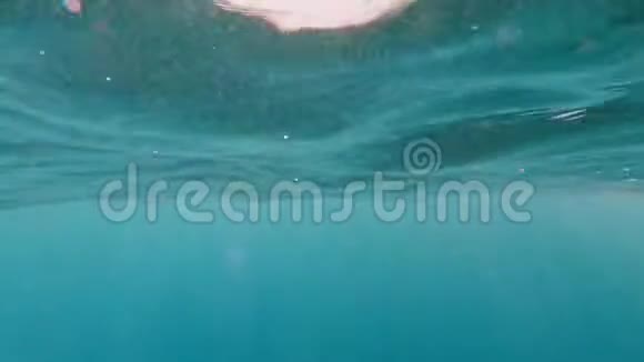 水下光线创造了一个美丽的面纱由阳光组成真实画面视频的预览图