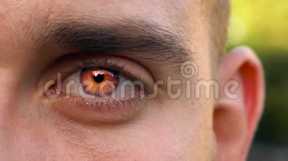 吸血鬼的红眼睛直视着摄像机万圣节标志视频的预览图