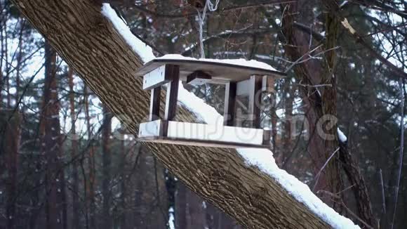 带鸟盒的树木制鸟饲料视频的预览图