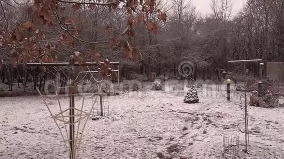 后院有一场大雪视频的预览图