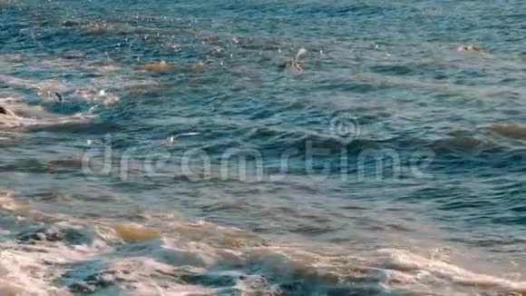 在伊斯坦布尔的暴风雨天气中慢动作海鸥飞过海浪视频的预览图