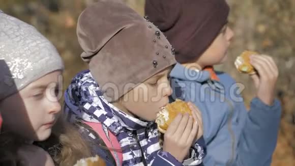 一群饥饿的孩子在阳光明媚的秋日在公园户外吃汉堡视频的预览图