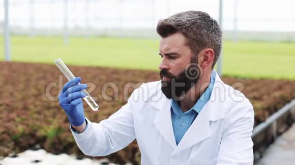 男性研究人员拿着一个玻璃管样品水站在温室里的植物面前农业工程师视频的预览图