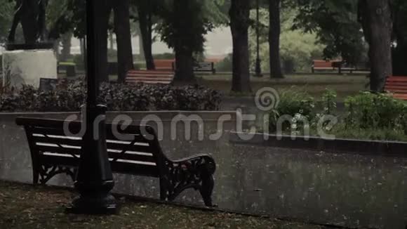 在雨中的公园里坐着老式的长凳背面视频的预览图
