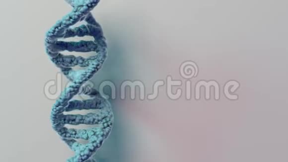 DNA链双螺旋循环动画视频的预览图