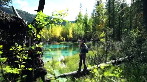 带着背包和帽子的旅行者正沿着森林中的一棵倒下的树走着视频的预览图