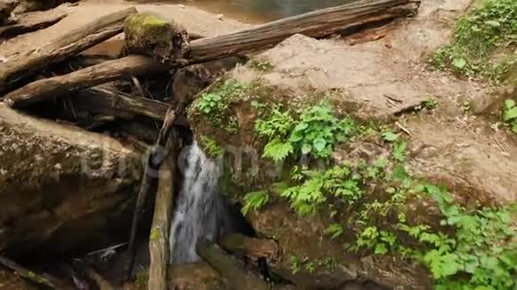 夏季森林中的大石头和干燥的老原木之间的小瀑布的近距离鸟瞰森林凉爽视频的预览图