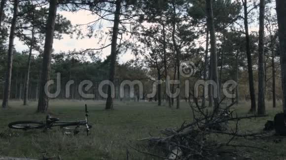 在森林里野餐视频的预览图