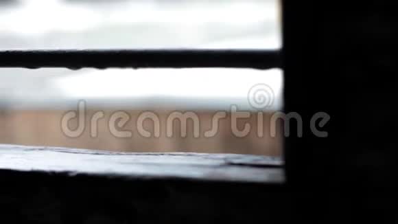 双木门印度风格的老式窗户带有生锈的金属烤架和雨水视频的预览图