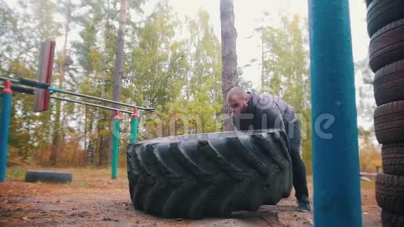 一个纹身男健美运动员推着轮胎在地上训练在秋天的森林视频的预览图