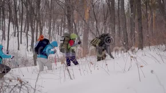 四个人在探险徒步旅行是在困难的条件下进行的人们掉进雪堆里视频的预览图