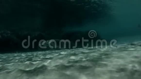 海底的阴影视频的预览图