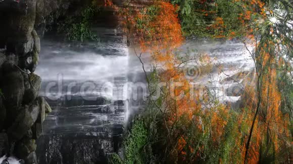 漂亮的落水处有枫树在iti后面有灯光效果视频的预览图