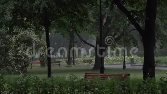 公园里下着大雨人们沿着小路走在伞下莫斯科高尔基公园视频的预览图