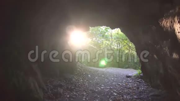 从洞穴到阳光森林的景色视频的预览图
