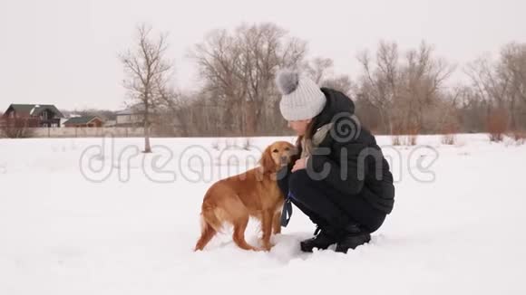 狗舔女孩脸在冬天的公园有点下雪圣诞节假期和你的宠物一起散步视频的预览图
