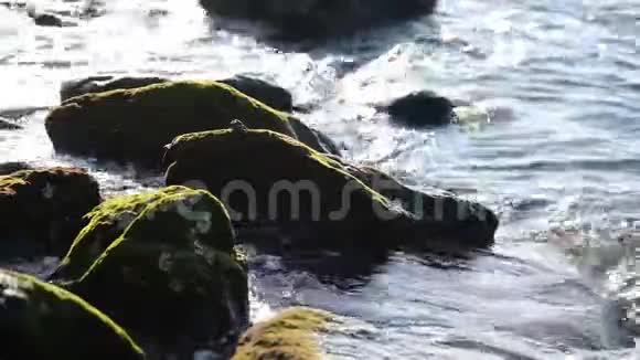 海浪和海岸带着美丽的岩石视频的预览图