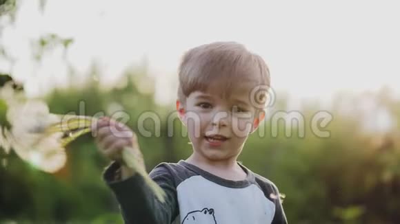 小男孩在公园里玩蒲公英视频的预览图