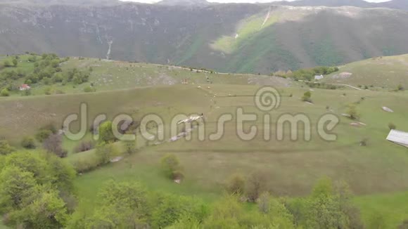 日落时分一群羊在山上的一片草地上偷窥美丽的自然景观视频的预览图