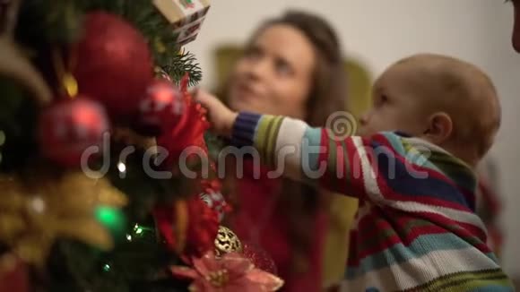 母亲父亲和小婴儿坐在装饰圣诞树附近男子抱着孩子靠近杉树展示视频的预览图