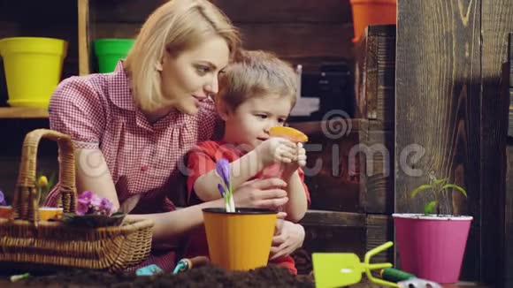可爱的孩子帮助他的母亲照顾植物母亲和儿子在家里从事园艺家庭植物视频的预览图